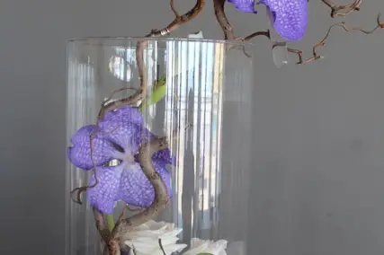 Les Fées Nature — photo 3