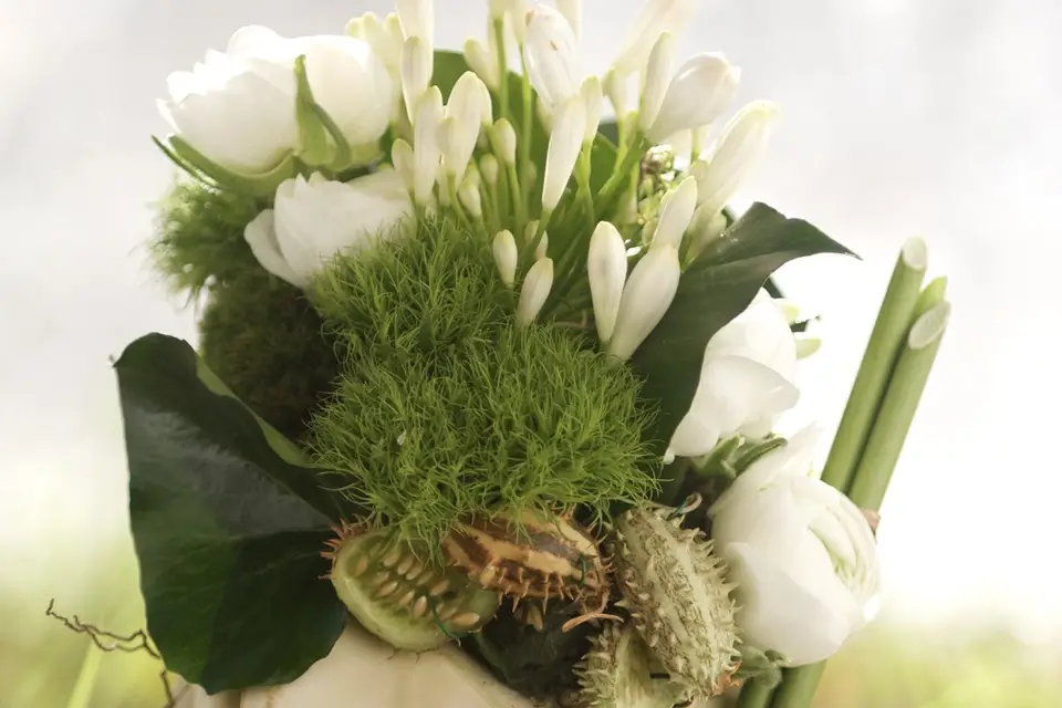 Les Fées Nature — photo 6