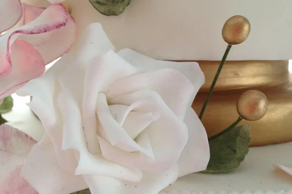 Happy House Cakes — photo 4