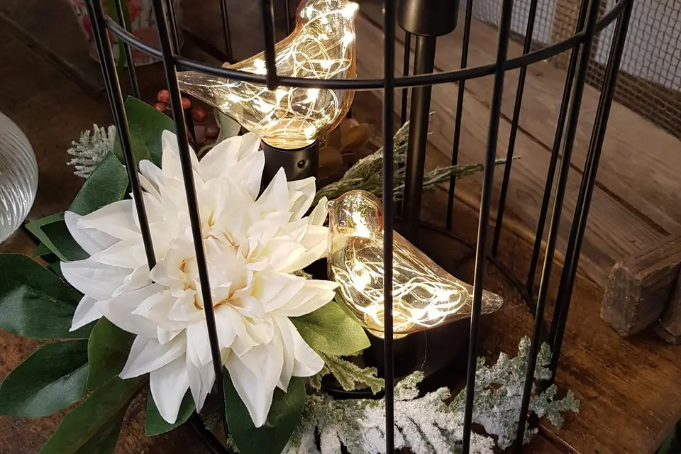 Lady Sheyen — photo 8