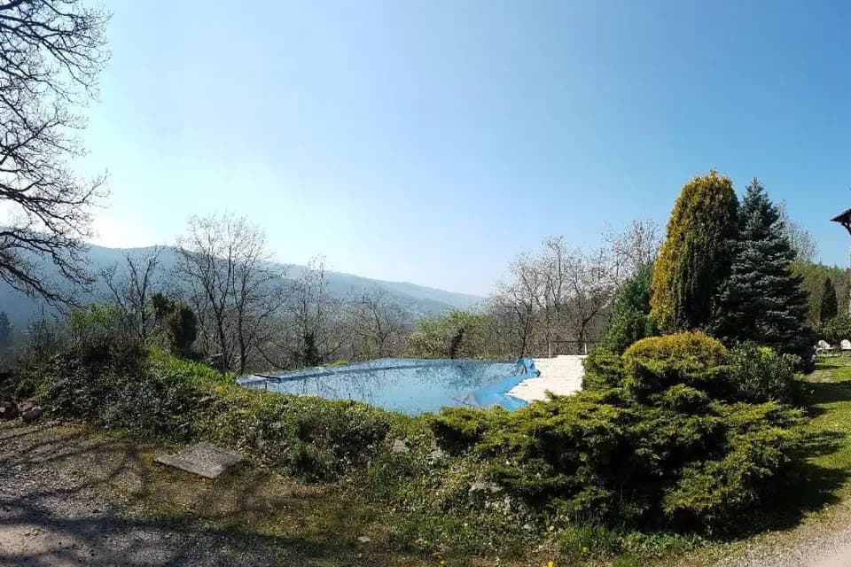 Le Mât de Cocagne — photo 7