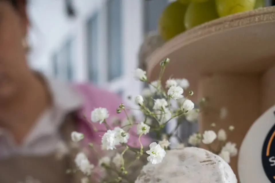 Club Pimprenelle — photo 4