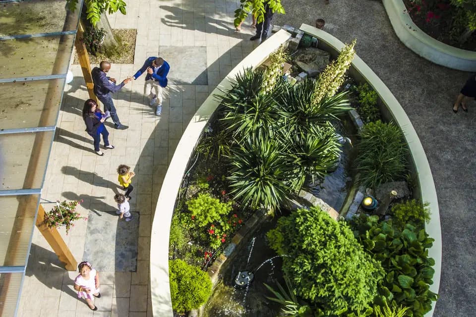 Hello-Drone — photo 7