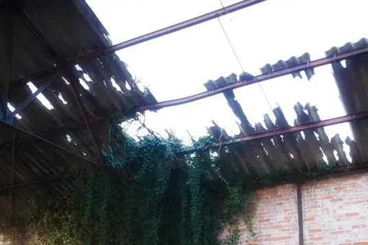 David de Franceschi Photographe — photo 3