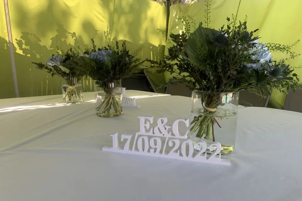 Scintens — photo 7