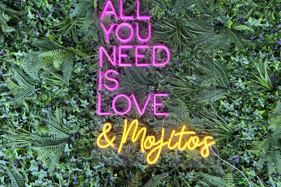 Scintens — photo 2