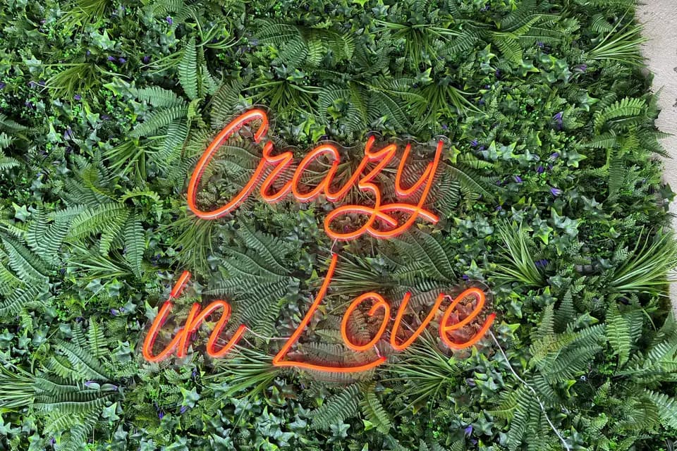 Scintens — photo 4