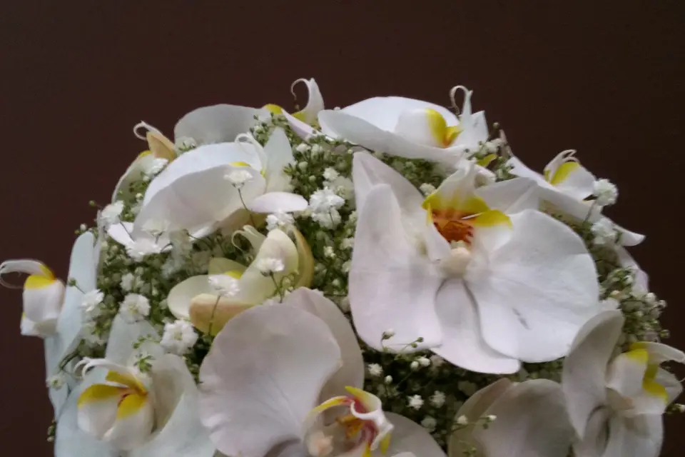 Au Faré Fleuri — photo 2