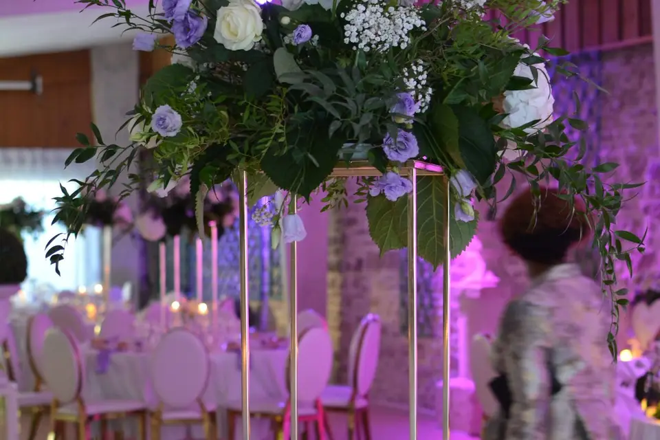 La Chrysalide d'Or — photo 5