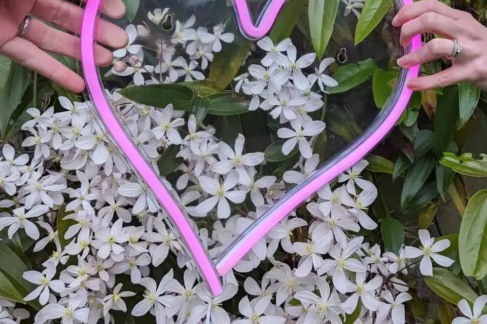 Guirlande et compagnie — photo 4