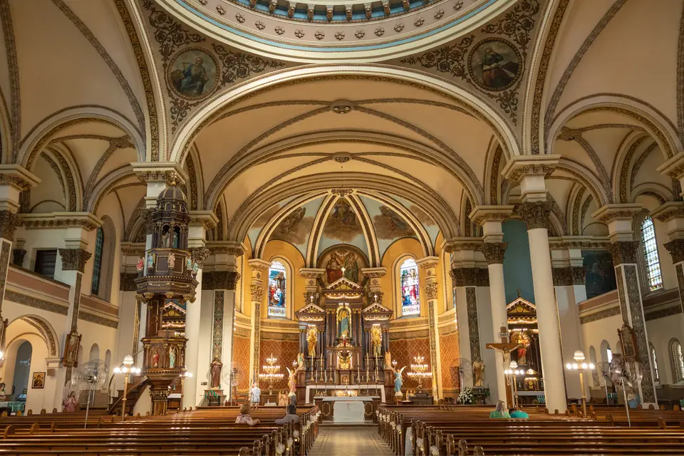 Camille de la Roseray — photo 8