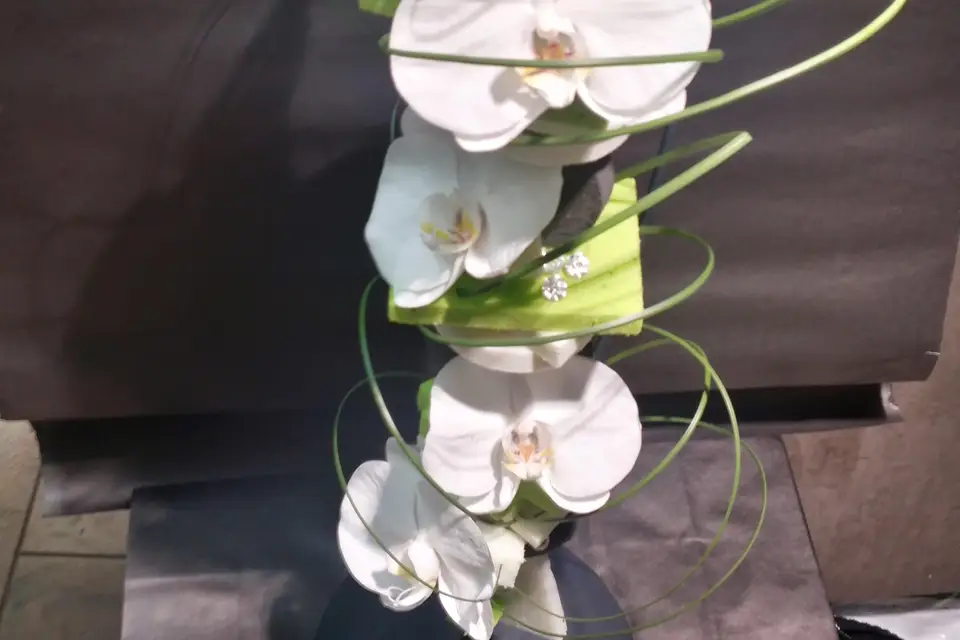 L'Atelier de Nina — photo 5