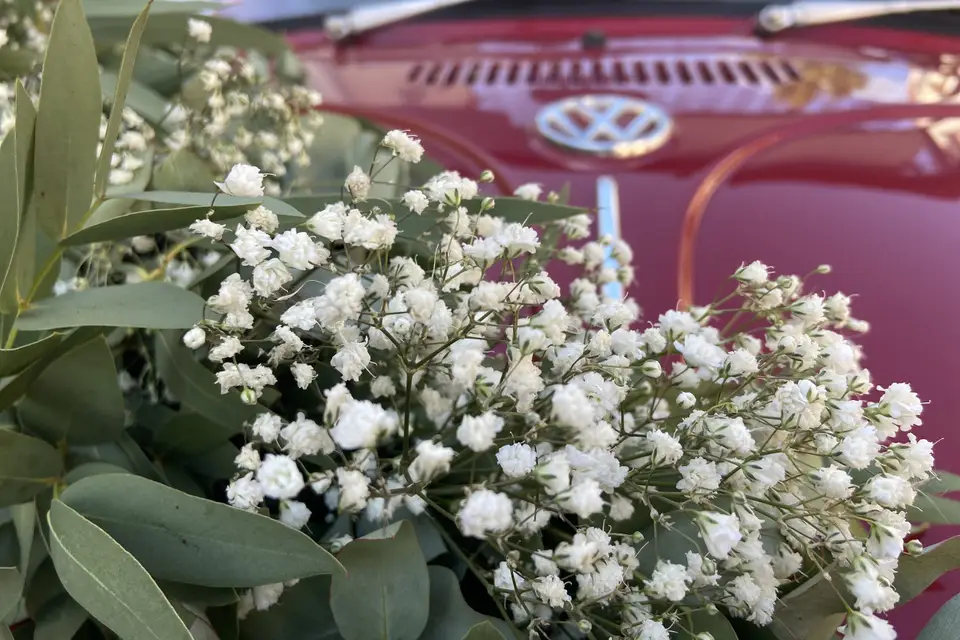 FP Evènementiel — photo 8