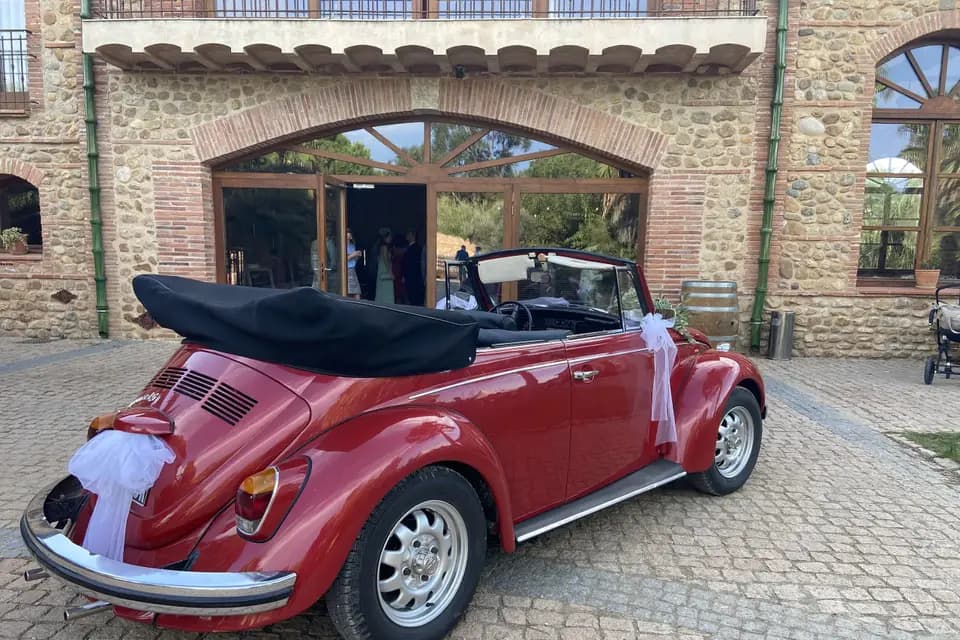 FP Evènementiel — photo 5