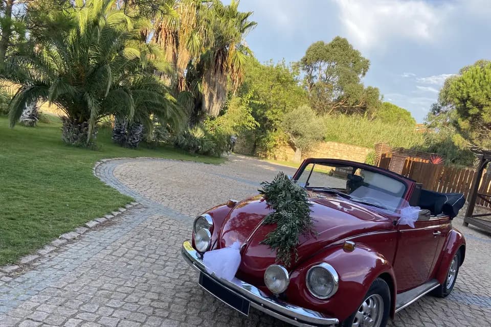 FP Evènementiel — photo 2