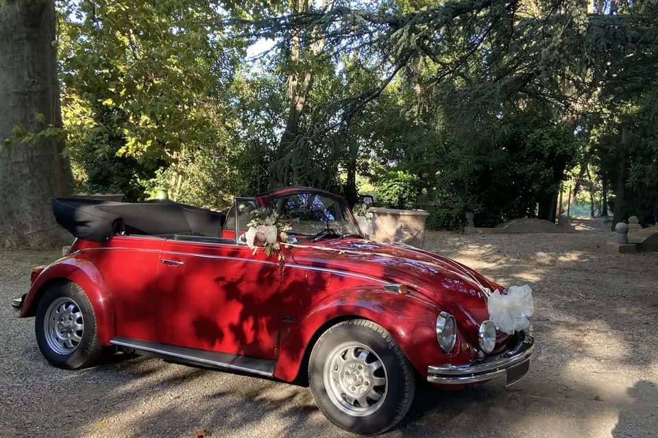 FP Evènementiel — photo 3