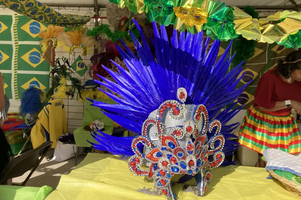 Sarita samba show Brésil — photo 8