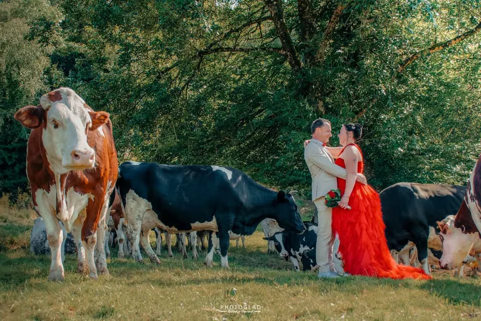 PhotoGlad — photo 1