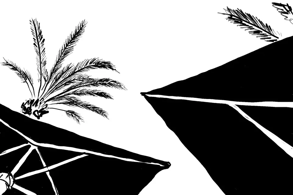 La Grande Alice — photo 5