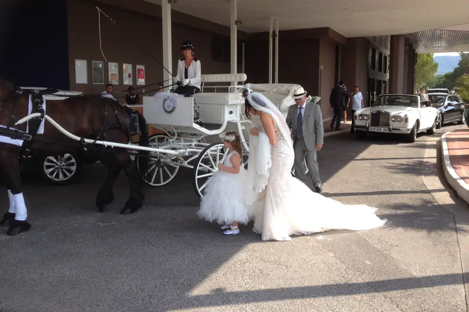 Les Calèches d'Antipolis — photo 3