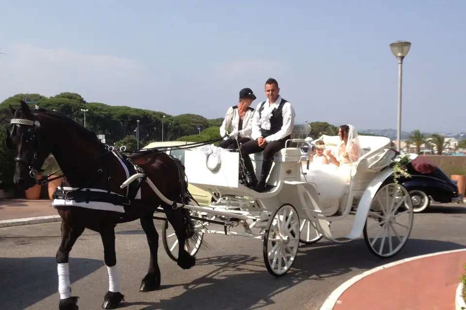 Les Calèches d'Antipolis — photo 6