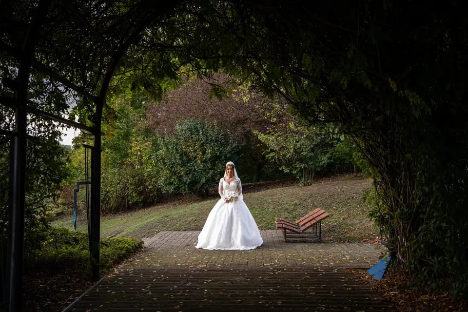 Alma Vision — photo 5