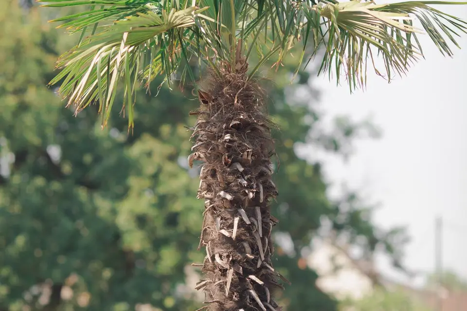 With Neya — photo 3