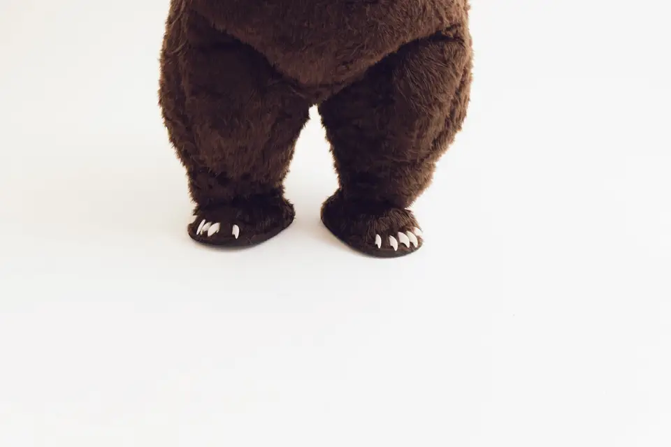 Sourire Fun — photo 2