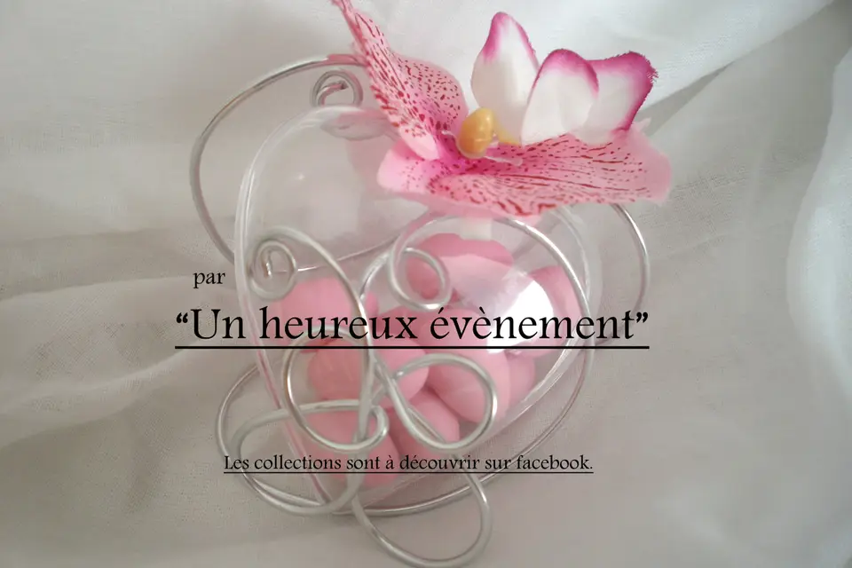 Un Heureux Événement — photo 7
