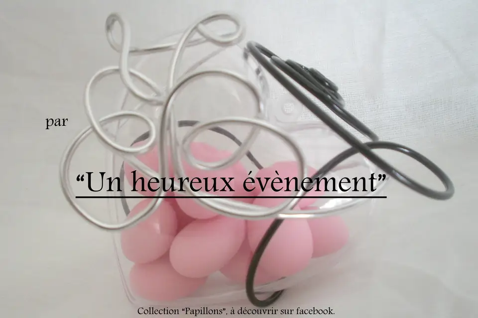 Un Heureux Événement — photo 8