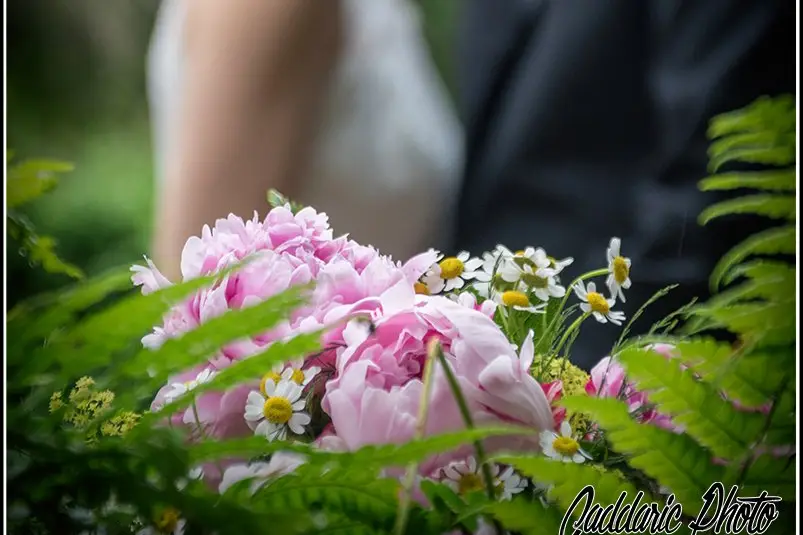 Caddaric Photo — photo 4