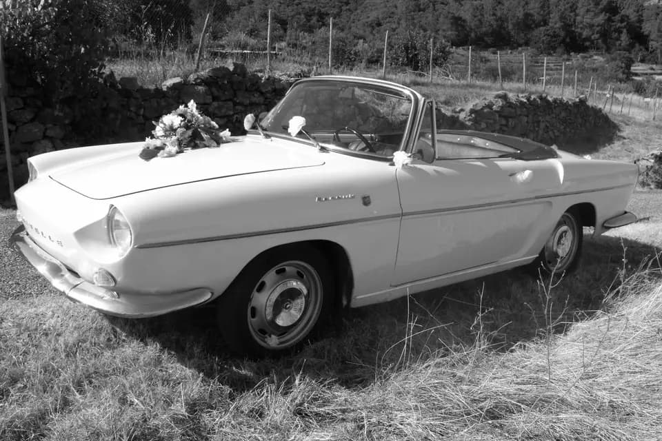 Mariage en Caravelle — photo 4