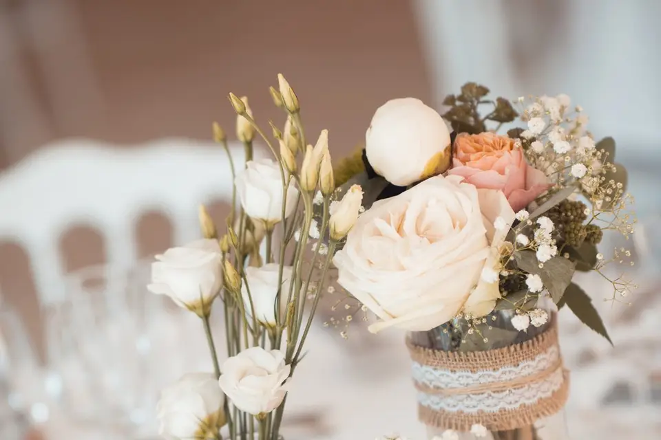 Com'une Orchidée — photo 2