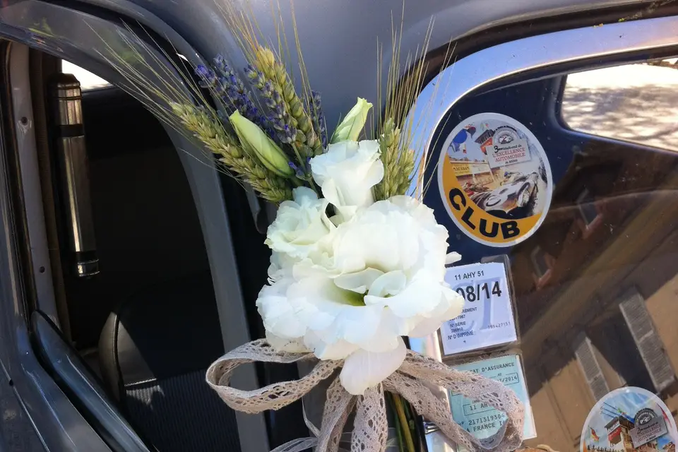 Rodrigues Sophie — photo 7