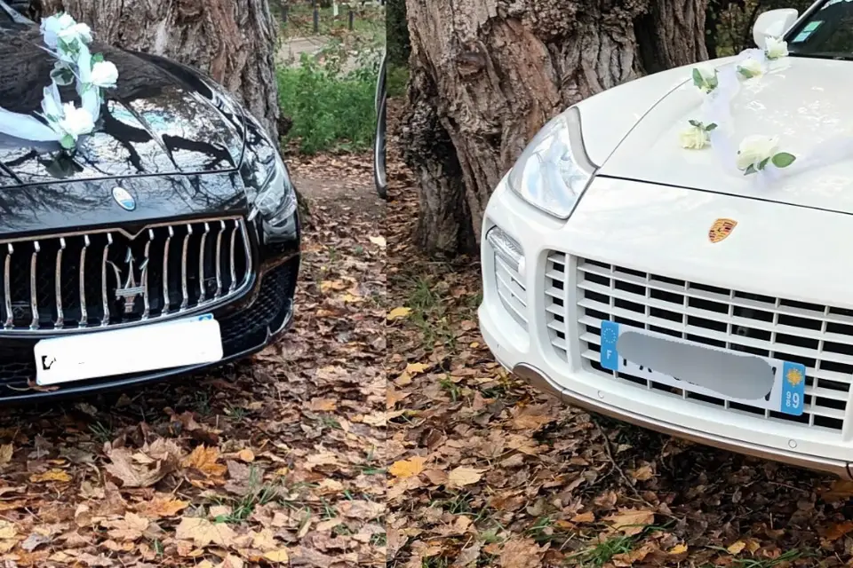 Dp Point — photo 6