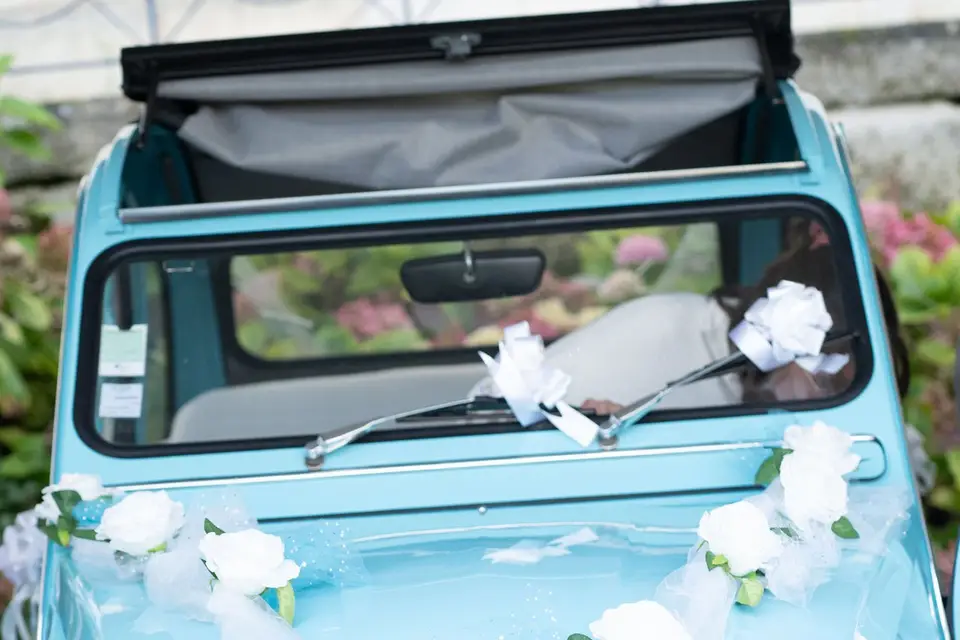 David Pernin — photo 5