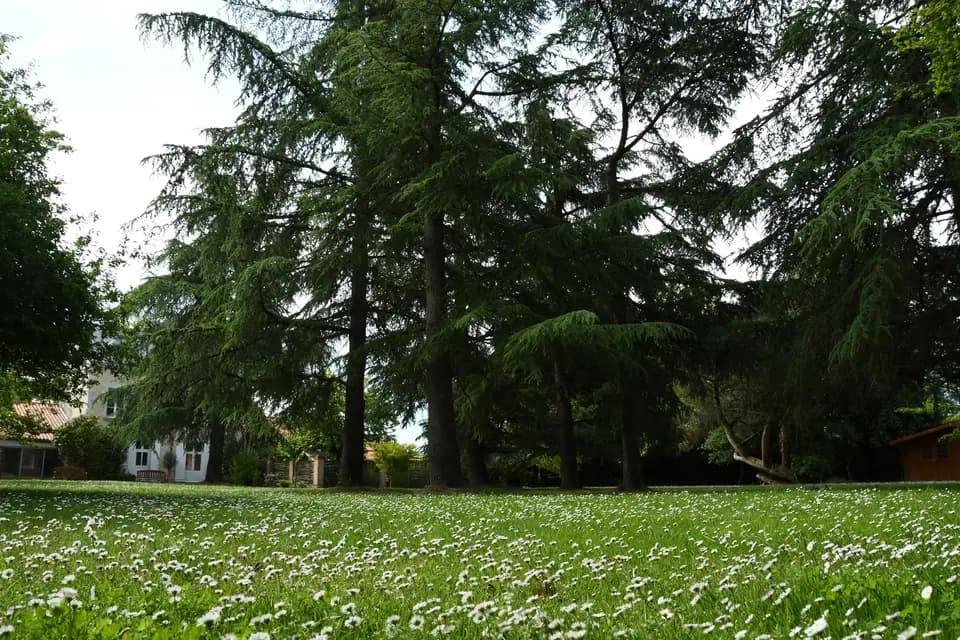 Manoir Les Landes Blanches — photo 4