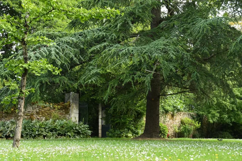 Manoir Les Landes Blanches — photo 7