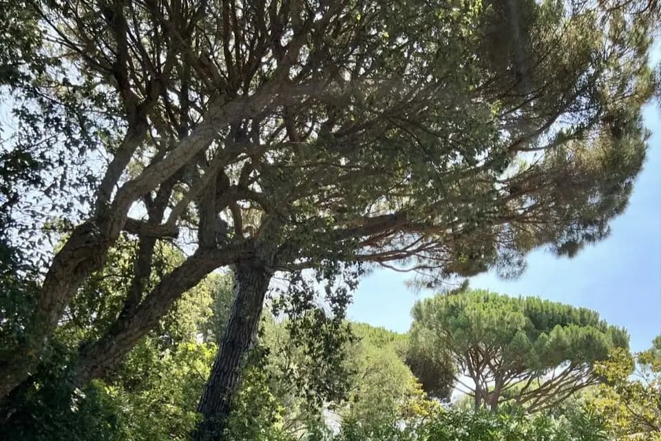 Les Baulides — photo 4