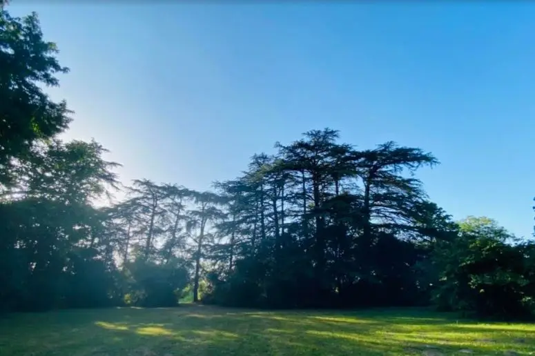 Manoir Les Landes Blanches — photo 9