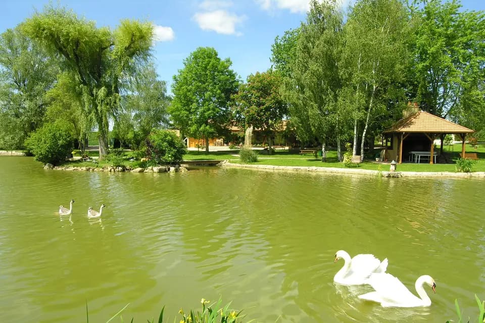 L'Abîme — photo 2