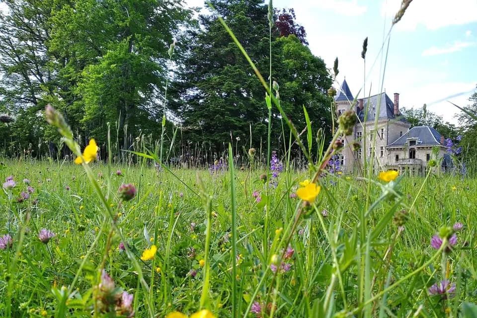 Château de Saint Geoire — photo 6