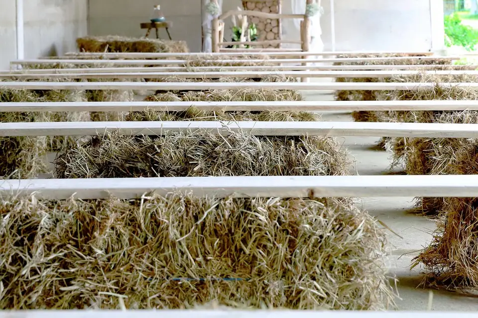 Les Photos d'Angéline — photo 5