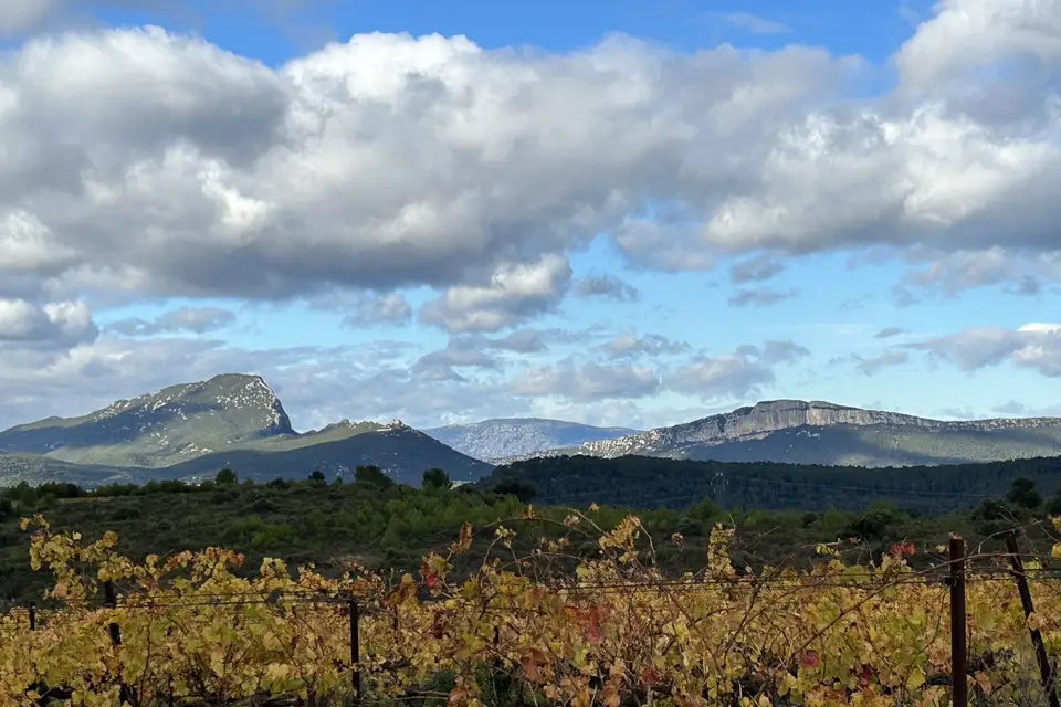 Dégustez Sud — photo 3