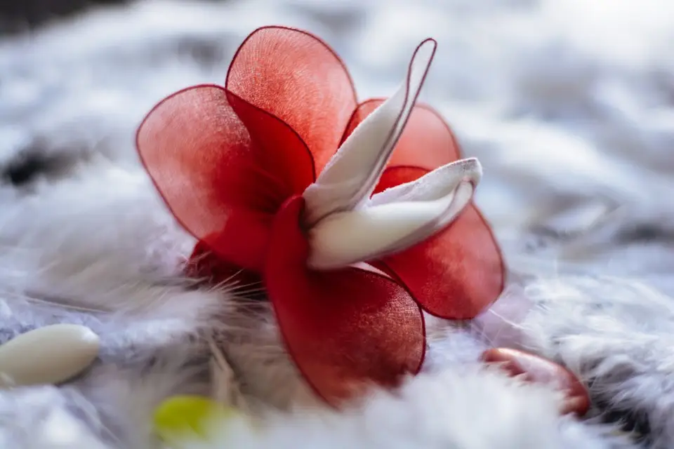 Les Fées Fêtes — photo 1