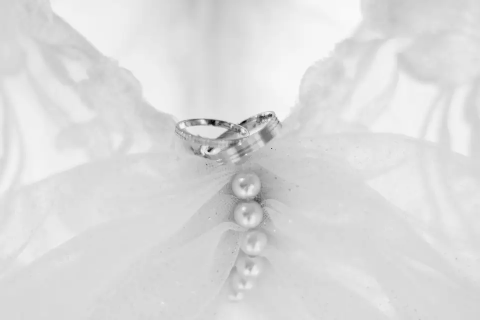 Le Goût de la Mangue — photo 8