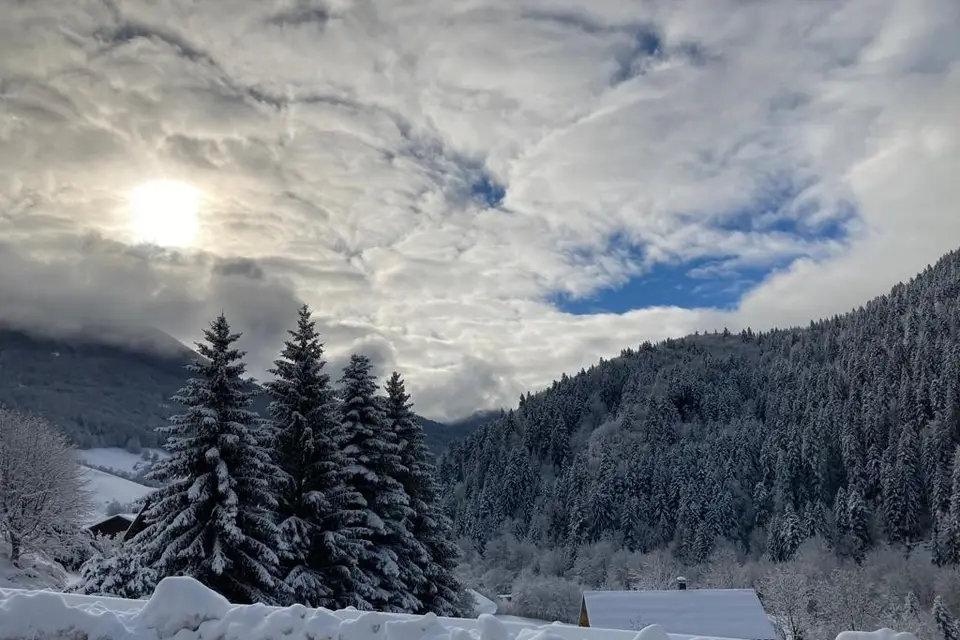 La Ferme de la Mense — photo 8