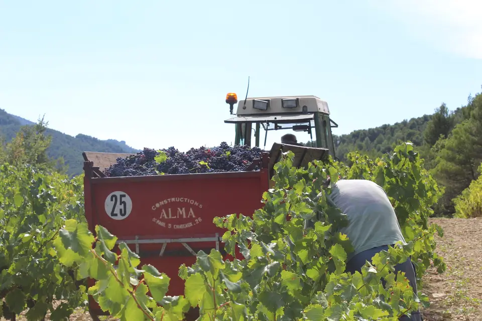 La Cave du Gravillas — photo 6