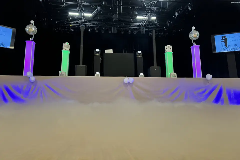 Sn'L anim' — photo 4