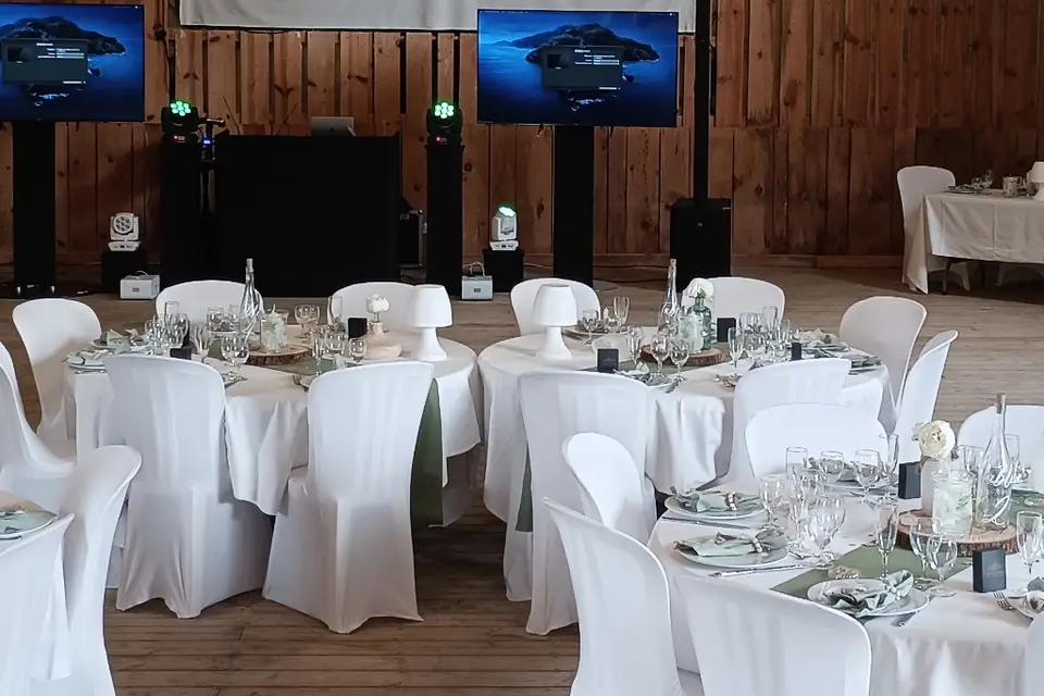 Sn'L anim' — photo 8